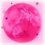 Pink Full Moon Hare