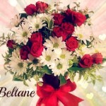 Beltane Roses Daisies